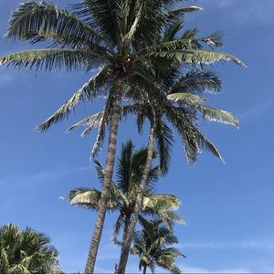 Meet your Posher, Dora